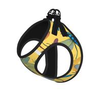 Colorful Dragonfly Print Step in Dog Harness and Leash Set,Adjustable Reflective Harness for Small Dogs Cats