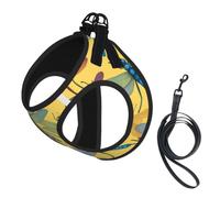 Colorful Dragonfly Print Step in Dog Harness and Leash Set,Adjustable Reflective Harness for Small Dogs Cats
