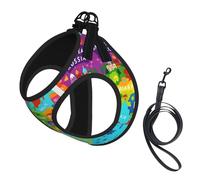 Colorful Europe Map With Icon Print Small Dog Harness And Leash Set, Adjustable Soft Vest With 360° Reflective Straps For Cats Puppy