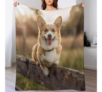 Colorful Fence Dog Throw Blanket, Soft Lightweight Cozy Warm Animal Welsh Corgi Flannel Blankets for Couch Bed Travel, 30"x40"