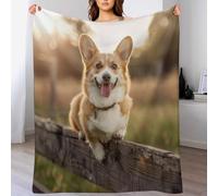 Colorful Fence Dog Throw Blanket, Soft Lightweight Cozy Warm Animal Welsh Corgi Flannel Blankets for Couch Bed Travel, 50"x60"