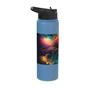Colorful Fireworks a Spectacular Feast for the Senses Stainless Steel Insulated Water Bottle