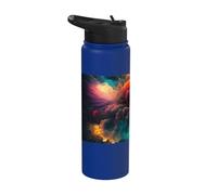 Colorful Fireworks a Spectacular Feast for the Senses Stainless Steel Insulated Water Bottle