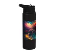 Colorful Fireworks a Spectacular Feast for the Senses Stainless Steel Insulated Water Bottle