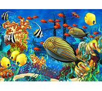 Colorful Fishes Jigsaw Puzzles for Adults 1000 Jigsaws Colorful Coral Reef 1000 Piece Jigsaw Puzzles for Adults Age 14+