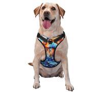 Colorful Flying Fish Dog Harness for Small, Medium, and Large Dogs – Reflective Straps, Adjustable Fit with Quick-Release Buckles