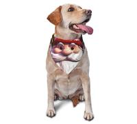 Colorful Gnomes Dog Bandanas Triangle Puppy Scarfs for Boy and Girl, Washable Daily Bibs Handkerchief Customize Dog & Cat Neckwear, Birthday Cute Soft Pet Scarf Kerchief