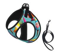 Colorful Gnomes Print Dog Harness and Leash Set,Breathable Adjustable Escape Proof Vest for Dogs, Cats