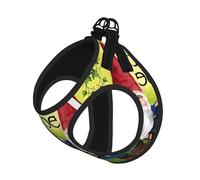 Colorful Gnomes Printing Dog Summer Harness With Leash Set,Adjustable And Reflective Step-In Puppy Pet Vest Harnesses