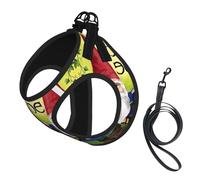 Colorful Gnomes Printing Dog Summer Harness With Leash Set,Adjustable And Reflective Step-In Puppy Pet Vest Harnesses