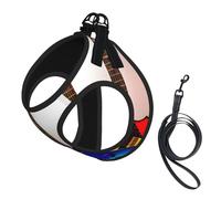 Colorful Guitars Print Pet Leash Vest Reflective Adjustable Soft Mesh Vest Breathable For Daily Walks