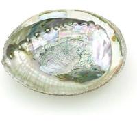 Colorful Large Abalone Shell Bowl 4-4.5 Inch Natural Smudge Bowl for Sage Burning and Incense Sea Shell Smudging for Decor and Display