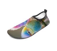 Colorful Little Bird Water Shoes for Men Women, Lightweight Stretch Swim Shoes with Anti-Slip Rubber Sole, Quick-Dry Aqua Socks for Pool, Beach, Surfing, Style, 4 Women/4 Men