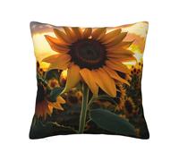 Colorful Lollipopguitar Plectrums 12 Piece Set, 3 Thicknesses Plectrums With Case For Bass Guitar, &Electric Guitar And More.