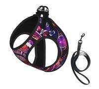 Colorful Mandala Pattern No Pull Dog Harness and Leash Set, Cute Reflective Adjustable Vest for Small Dogs,Breathable Mesh Puppy Harness for Walking Hiking,Large