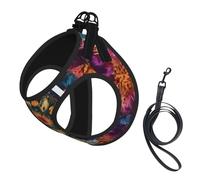 Colorful Mandala Pattern No Pull Dog Harness and Leash Set, Cute Reflective Adjustable Vest for Small Dogs,Breathable Mesh Puppy Harness for Walking Hiking,Small