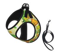 Colorful Mandala Pattern No Pull Dog Harness and Leash Set, Cute Reflective Adjustable Vest for Small Dogs,Breathable Mesh Puppy Harness for Walking Hiking,Large