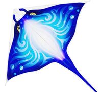 Colorful Manta Ray Kite, Long Tail Triangle Kite, Kite Festival