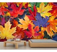 Colorful Maple Leaves Wallpaper Landscape Fall Wallpaper Autumn Leaf Wall Paper Murals for Walls Nature Scenic Wall Paper for Bedrooms Living Room Sofa TV Background Large Painting Poster 100X70cm