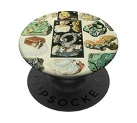 Colorful Minerals Crystals Gemstones Vintage Illustration PopSockets Adhesive PopGrip