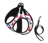Colorful Music Notes 1 Print Dog Harness with Leash Set with Thickened Padded Vest for Extra-Small/Small Medium Dogs