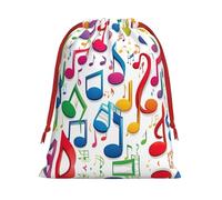 Colorful Music Notes 1 Print Plush Gift Bags Reusable Drawstring Gift Wrap Bags,For Holiday Candy Party Supplies