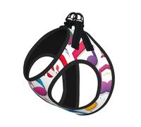 Colorful Music Notes 1 Print Step in Dog Harness and Leash Set,Adjustable Reflective Harness for Small Dogs Cats