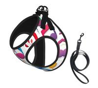 Colorful Music Notes 1 Print Step in Dog Harness and Leash Set,Adjustable Reflective Harness for Small Dogs Cats