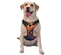 Colorful Music Notes Large Printed pet Traction Vest for Pets to wear When Walking The Dog or Climbing Mountains