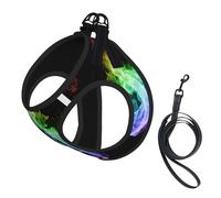 Colorful Music Notes print Dog Harness, 2X Buckle,Dog Vest,No Pulling Front Leash Clip,for Small Medium Dogs