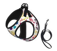 Colorful Music Notes Print Dog Harness with Leash Set with Thickened Padded Vest for Extra-Small/Small Medium Dogs
