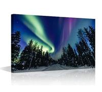 Colorful Northern Lights Canvas Wall Art Decor Winter Forest Landscape Pictures for Living Room Bedroom Decoration Painting Wall Art for Office Modern Artwork Framed Ready to Hang - 12"Wx18"H