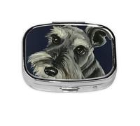 Colorful Oil Cute Schnauzer Dogs,Meta Pill Box 2 Compartment Medicine Case,Portable Organizer,Rectangle Meta Portable Organizer Pill Box 1686 Compartment Medicine Case