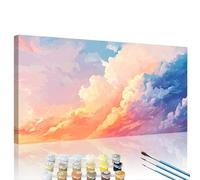 Colorful Paint by Numbers Cloud Paint by Numbers Kit for Adults with Framed DIY Canvas & 3 Brushes Acrylic Pigment Set, Home Decor Painting Wall Art Crafts, Women Hobby Gifts 23.6x47.2in XY#1013