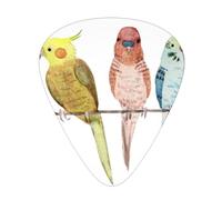 Colorful Parrots On Tree Premium Bass Electric Guitar Picks,Guitar Plectrum For Unparalleled Musical Experience