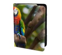 Colorful Parrots On Tree Print 5.5in Passport Travel Document Wallet Case Stylish Secure Men Women For Travelers, Black, One Size