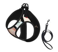 Colorful Parrots On Tree Print Adjustable Reflective Harness Leash Set For Cats, Dogs And Small Pets, Soft Breathable Mesh Walking Vest With Escape-Proof Lead