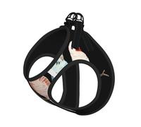 Colorful Parrots On Tree Print Adjustable Reflective Harness Leash Set For Cats, Dogs And Small Pets, Soft Breathable Mesh Walking Vest With Escape-Proof Lead