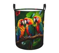 Colorful Parrots Print Circular Protable Storage Bin Organizer Round Basket For Laundry Hamper With Handles Bedroom Clothes