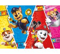 Colorful Paw Patrol