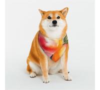 Colorful Peach Watercolor Design Dog Bandanas Medium Adjustable Dog Scarf Triangle Bibs Double Reversible Kerchief Scarf Washable Daily Handkerchief for Medium Large Dog Puppy Cat Gift
