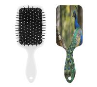 Colorful Peacock on A Tree Branch Hairbrush Air Cushion Comb Hair Comb
