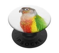 Colorful Pineapple Conure Bird Artwork Pet Gift PopSockets Adhesive PopGrip