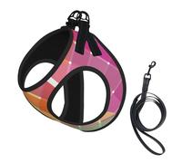 Colorful Rainbow Multicolor Plaid Stripes,Pet Harness,Adjustable Reflective Dog Harness,Pet Leash Vest,L