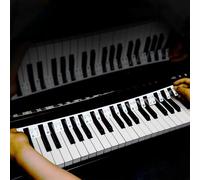 Colorful Removable Piano Key Stickers Note Labels for 88 Key Full Size Silicone Reusable Piano Keyboard Stickers for Beginners Comes