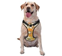 Colorful Retro 70s Flower,Pet Harness,Adjustable Reflective Dog Harness,Pet Leash Vest,XL