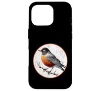 Colorful Retro American Robin Bird Design Case for iPhone 16 Pro