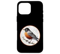 Colorful Retro American Robin Bird Design Case for iPhone 16 Pro Max