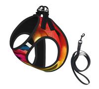 Colorful Roses,Pet Harness,Adjustable Reflective Dog Harness,Pet Leash Vest,M