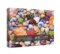 Colorful Seashell 1000 Piece Puzzle, Ocean Beach Jigsaw for Adults, Marine Hawaii 1000 Piece Puzzle